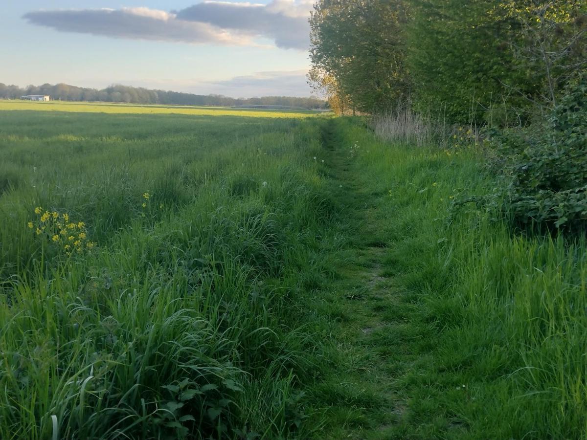 آلميره Tuinhuisje In Het Groen المظهر الخارجي الصورة