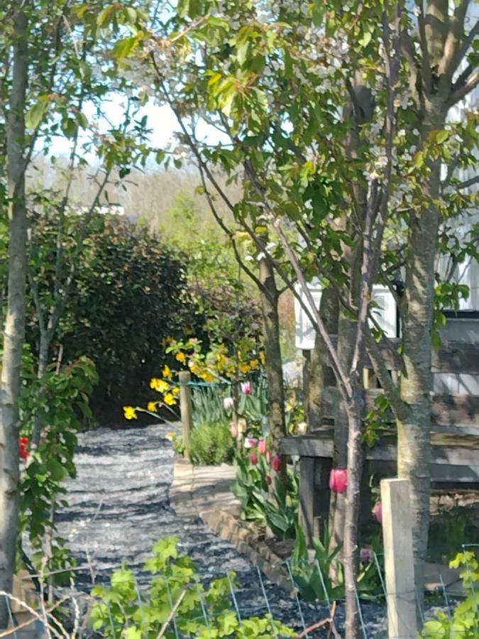 آلميره Tuinhuisje In Het Groen المظهر الخارجي الصورة