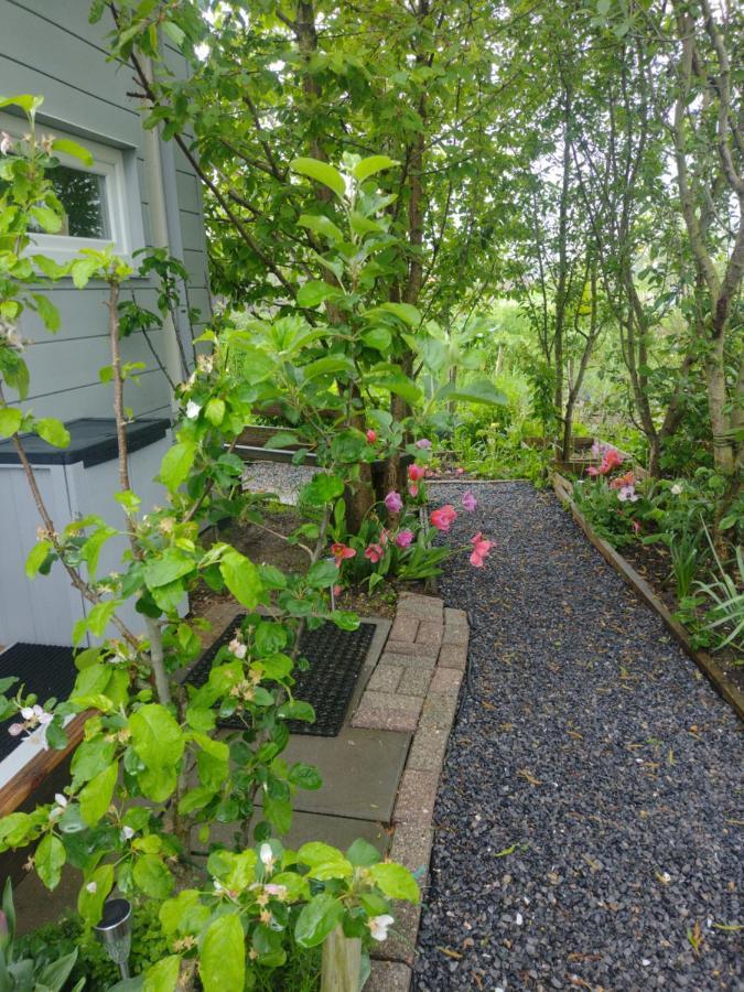 آلميره Tuinhuisje In Het Groen المظهر الخارجي الصورة
