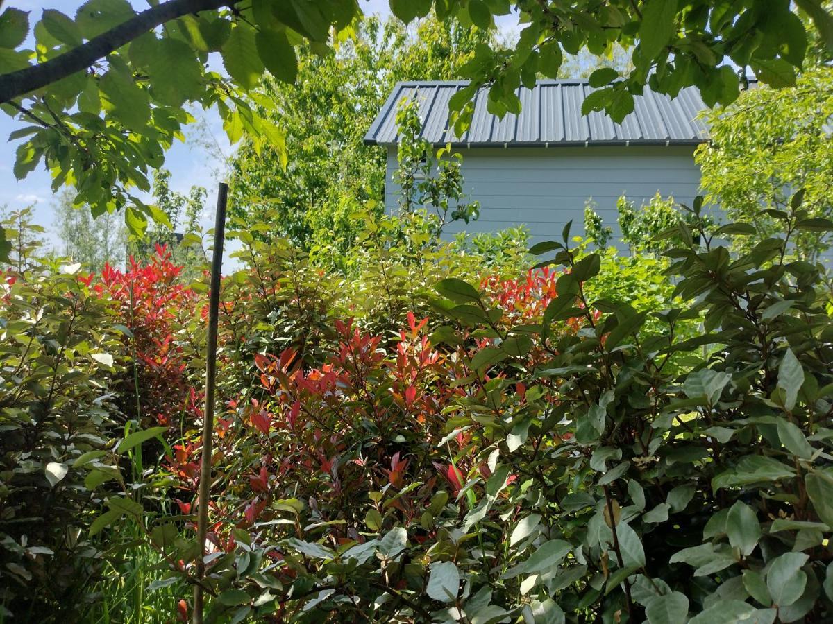 آلميره Tuinhuisje In Het Groen المظهر الخارجي الصورة