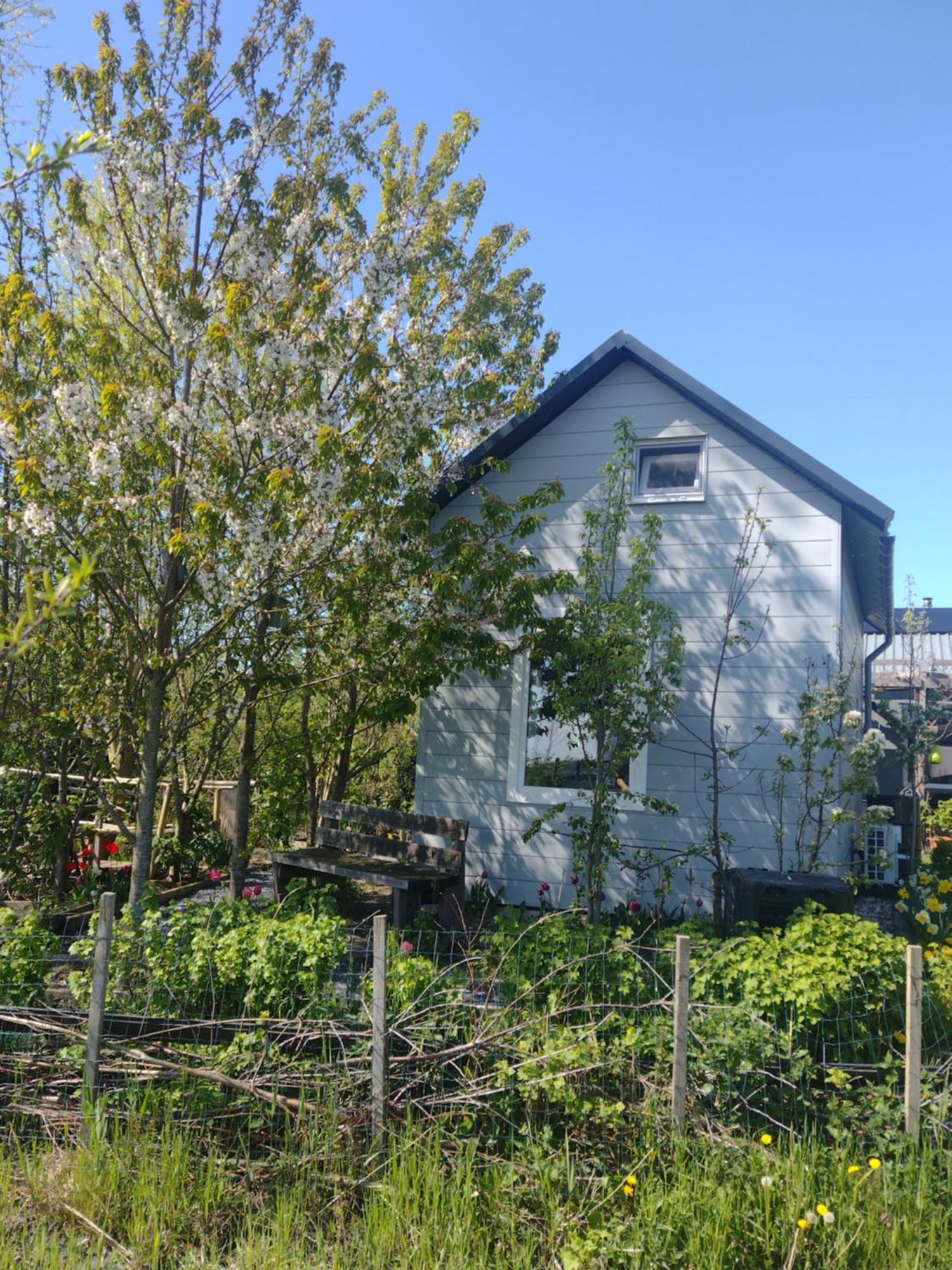 آلميره Tuinhuisje In Het Groen المظهر الخارجي الصورة